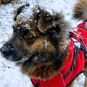 Meet your Posher, Mike